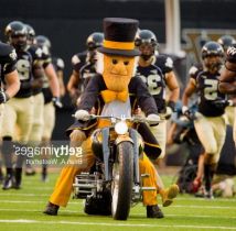 Wake Forest Demon Deacons Football football Tickets | Ticketcave.com